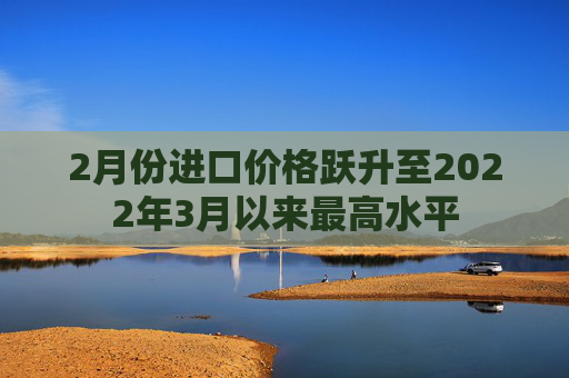 2月份进口价格跃升至2022年3月以来最高水平