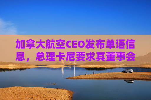 加拿大航空CEO发布单语信息，总理卡尼要求其董事会作出解释