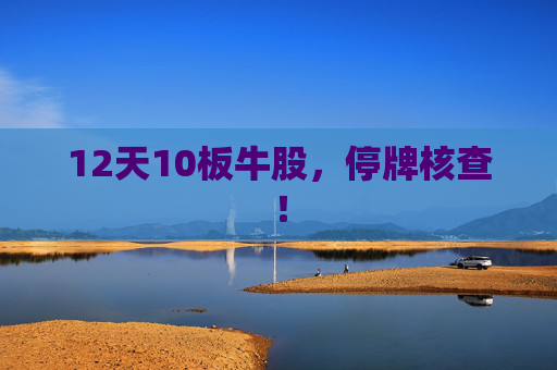 12天10板牛股，停牌核查！