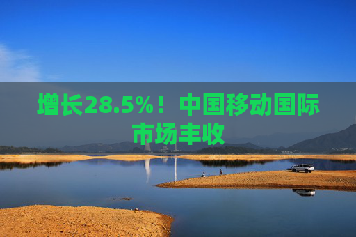 增长28.5%！中国移动国际市场丰收