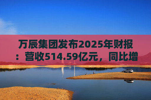 万辰集团发布2025年财报:营收514.59亿元,同比增长59.17% 第1张 万辰集团发布2025年财报:营收514.59亿元,同比增长59.17% 第1张