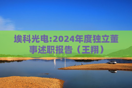 埃科光电:2024年度独立董事述职报告（王翔）