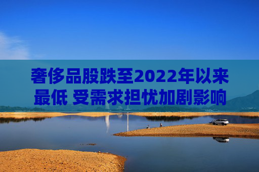 奢侈品股跌至2022年以来最低 受需求担忧加剧影响