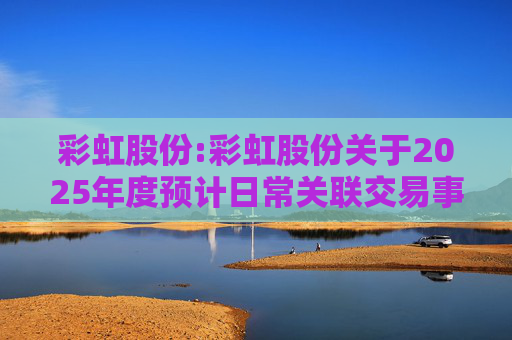 彩虹股份:彩虹股份关于2025年度预计日常关联交易事项的公告  第1张