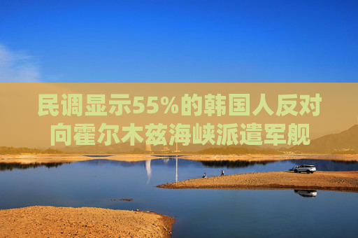 民调显示55%的韩国人反对向霍尔木兹海峡派遣军舰 第1张 民调显示55%的韩国人反对向霍尔木兹海峡派遣军舰 第1张