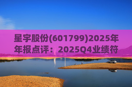 星宇股份(601799)2025年年报点评：2025Q4业绩符合预期 自主车灯龙头持续成长