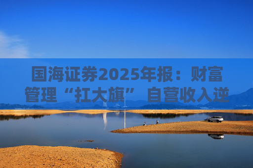 国海证券2025年报：财富管理“扛大旗” 自营收入逆势大降 投行收入占比仅2%