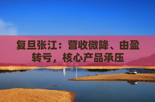 复旦张江:营收微降、由盈转亏,核心产品承压