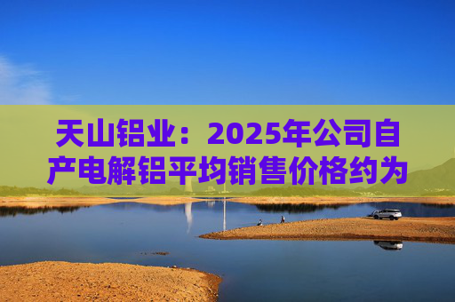 天山铝业：2025年公司自产电解铝平均销售价格约为20600元/吨