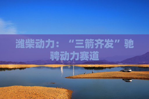 潍柴动力:“三箭齐发”驰骋动力赛道