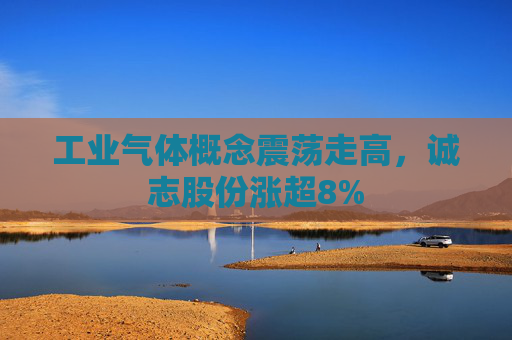 工业气体概念震荡走高，诚志股份涨超8%