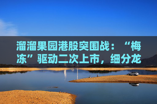 溜溜果园港股突围战：“梅冻”驱动二次上市，细分龙头能否破解盈利隐忧？