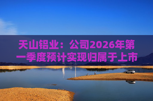 天山铝业：公司2026年第一季度预计实现归属于上市公司股东的净利润220000万元  第1张