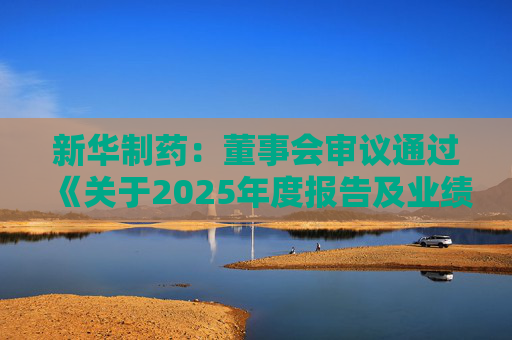 新华制药：董事会审议通过《关于2025年度报告及业绩公告的议案》等多项议案