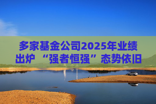 多家基金公司2025年业绩出炉 “强者恒强”态势依旧 第1张 多家基金公司2025年业绩出炉 “强者恒强”态势依旧 第1张