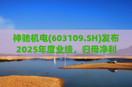 神驰机电(603109.SH)发布2025年度业绩,归母净利润1.34亿元,同比下降30.94% 第1张 神驰机电(603109.SH)发布2025年度业绩,归母净利润1.34亿元,同比下降30.94% 第1张