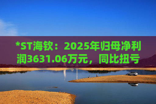 *ST海钦：2025年归母净利润3631.06万元，同比扭亏为盈