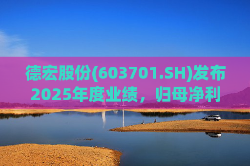 德宏股份(603701.SH)发布2025年度业绩，归母净利润1153.69万元，同比下降74.99%  第1张