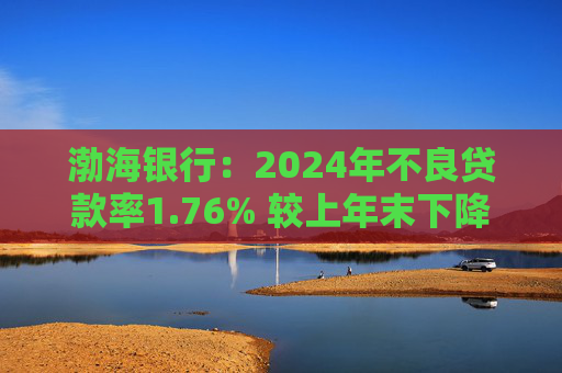 渤海银行：2024年不良贷款率1.76% 较上年末下降0.02个百分点  第1张
