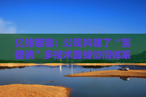 亿纬锂能：公司构建了“氢锂钠”多技术路线协同体系