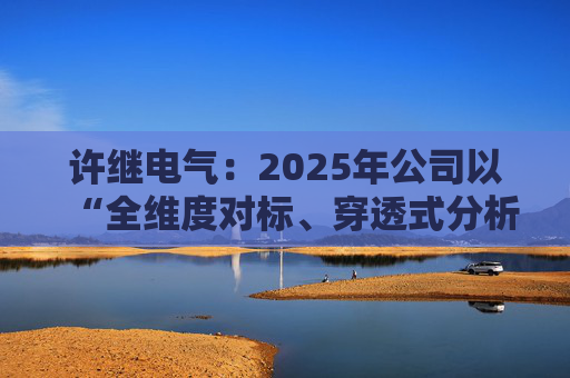 许继电气：2025年公司以“全维度对标、穿透式分析、动态化管控”为核心  第1张