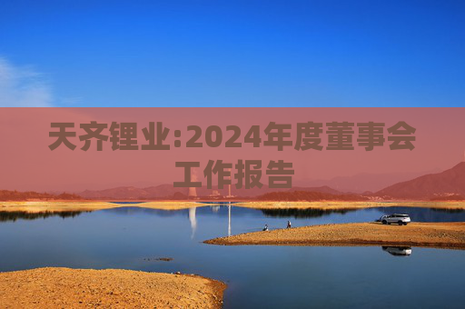 天齐锂业:2024年度董事会工作报告