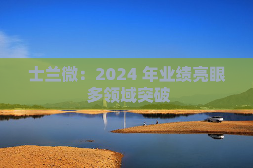 士兰微：2024 年业绩亮眼 多领域突破