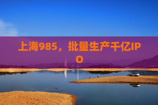 上海985，批量生产千亿IPO