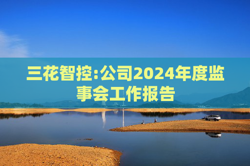 三花智控:公司2024年度监事会工作报告  第1张