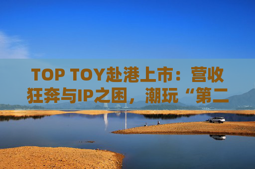 TOP TOY赴港上市：营收狂奔与IP之困，潮玩“第二极”如何穿越估值迷局？