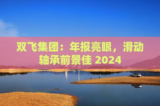 双飞集团：年报亮眼，滑动轴承前景佳 2024  第1张