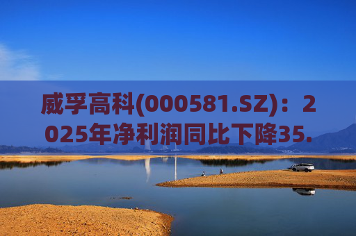 威孚高科(000581.SZ):2025年净利润同比下降35.63% 拟10股派7元 第1张 威孚高科(000581.SZ):2025年净利润同比下降35.63% 拟10股派7元 第1张