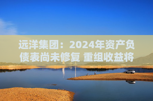 远洋集团：2024年资产负债表尚未修复 重组收益将于2025年释放  第1张