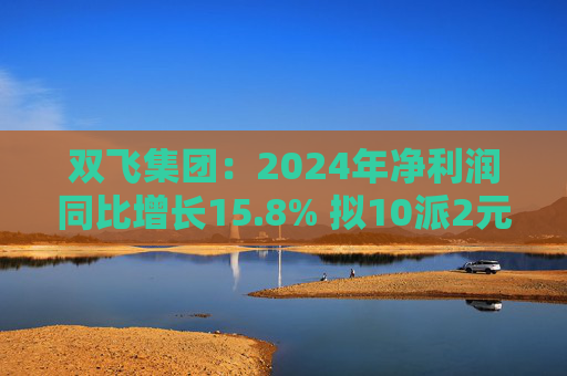双飞集团：2024年净利润同比增长15.8% 拟10派2元