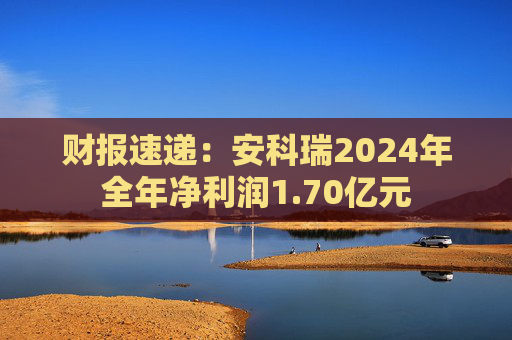 财报速递:安科瑞2024年全年净利润1.70亿元
