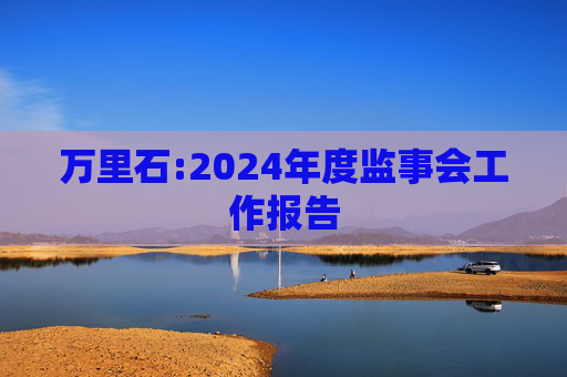 万里石:2024年度监事会工作报告