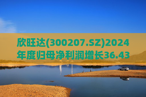 欣旺达(300207.SZ)2024年度归母净利润增长36.43%至14.68亿元,动力电池出货量合计25.29GWh