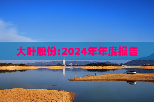 大叶股份:2024年年度报告  第1张