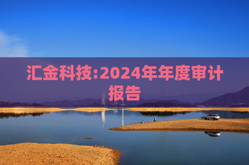 汇金科技:2024年年度审计报告