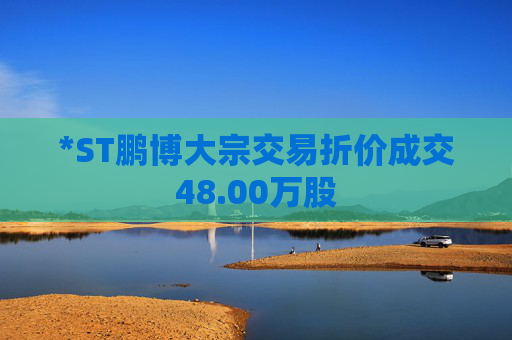 *ST鹏博大宗交易折价成交48.00万股  第1张