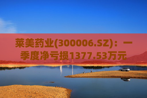莱美药业(300006.SZ):一季度净亏损1377.53万元