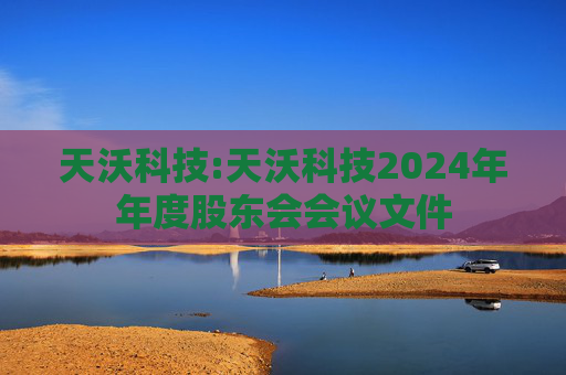 天沃科技:天沃科技2024年年度股东会会议文件  第1张