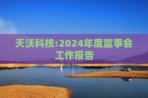 天沃科技:2024年度监事会工作报告  第1张