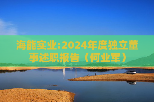 海能实业:2024年度独立董事述职报告（何业军）