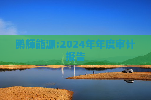 鹏辉能源:2024年年度审计报告