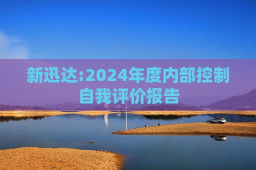新迅达:2024年度内部控制自我评价报告  第1张