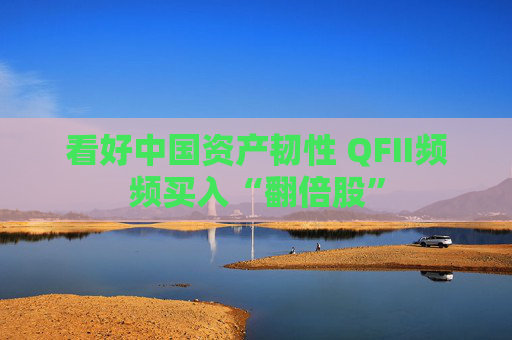 看好中国资产韧性 QFII频频买入“翻倍股”