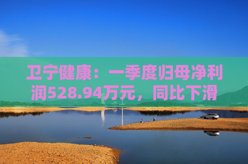 卫宁健康:一季度归母净利润528.94万元,同比下滑68.18%