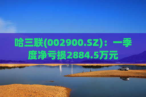 哈三联(002900.SZ)：一季度净亏损2884.5万元