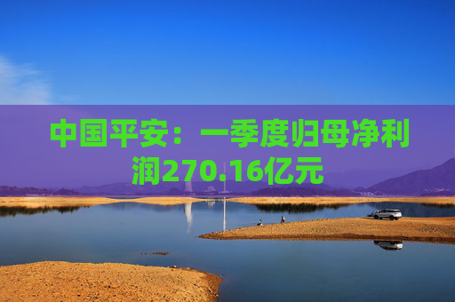 中国平安：一季度归母净利润270.16亿元  第1张